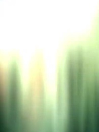 Soy el Esposo de Cuatro Anomalías - Episode 41