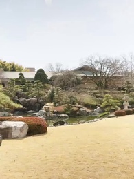 第12話 - 伏龍の王と心貧しき狐たち