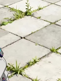 Episódio 28 - [Dublado]O Início de Tudo: A Fome da Cobra