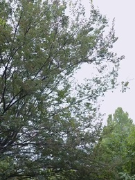 傅總，夫人又去打人了 - Episode 80