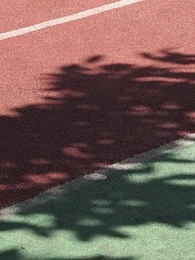 Episode 7 - When the Stalker Gets Stalked