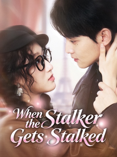 When the Stalker Gets Stalked poster