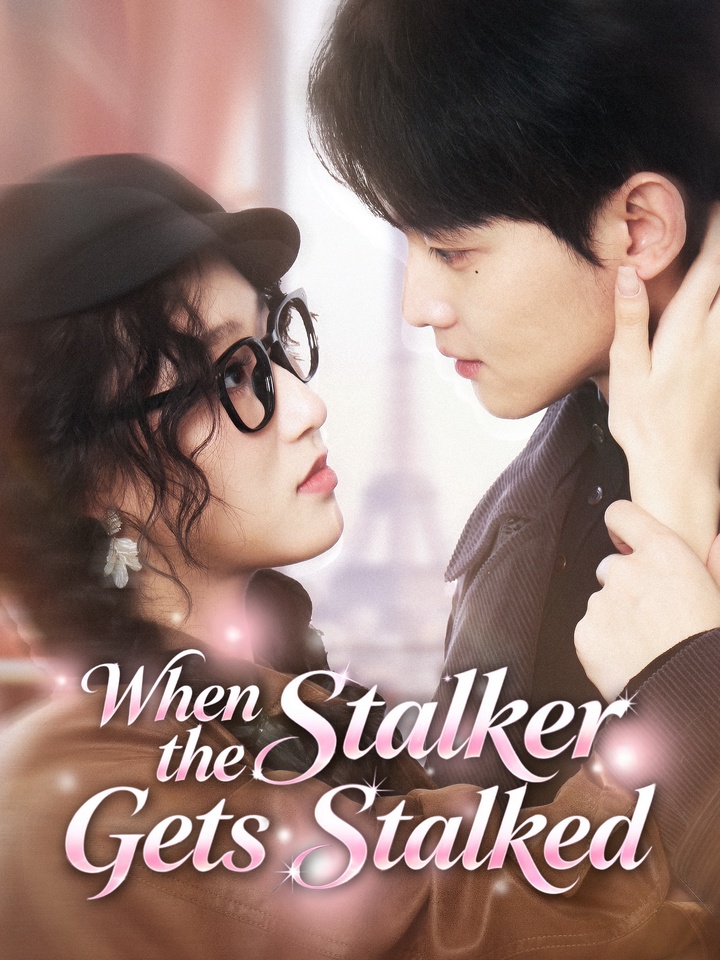 When the Stalker Gets Stalked poster