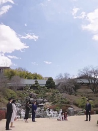 第39話 - 伏龍の王と心貧しき狐たち