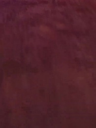 妄信リスナー - Episode 24