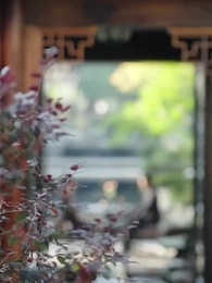 Tập 8 - Anh Yêu Em Đã Có Dự Mưu Từ Lâu