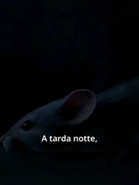 Mamma, Giuro che Non Sto Mentendo - Episode 7