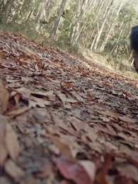 [Dublado]No Trono, por Ela - Episode 60