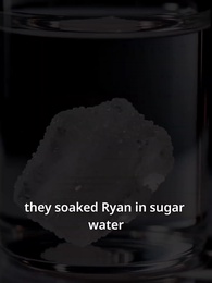 Prisoner of Love,Heir of Vengeance - Episode 12