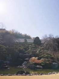 伏龍の王と心貧しき狐たち - Episode 1