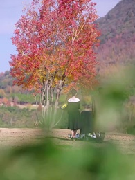 천 배로 갚아주마 - Episode 60