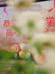 Episode 1 - The Price of a Mother's Love