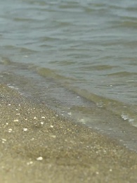 妄信リスナー - Episode 30