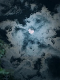 野外撿福寶，紈絝王爺被旺成皇帝 - Episode 1