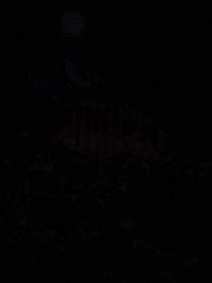 The Alpha’s Regret She Never Looked Back - Episode 1