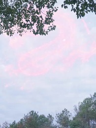 第51集 - 花間錯