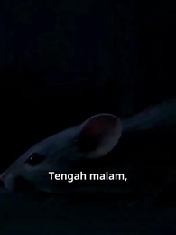 Episode 7 - [Dubbing] Misteri Gelang Kejujuran