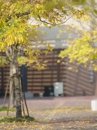 Tập 48 - Anh Yêu Em Đã Có Dự Mưu Từ Lâu