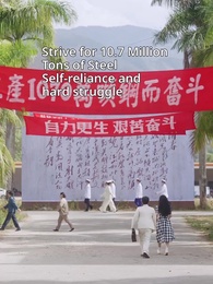 Episode 8 - Island of Second Chances