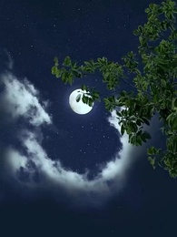 Épisode 8 - [Doublé]Maître des Démons Invincible