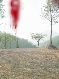 54화 - 둥지를 떠난 봉황