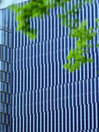 Tập 29 -  [Lồng tiếng]Ánh Sáng Nơi Cuối Con Đường