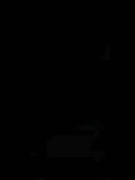 Episodio 49 - Mi clon,el destructor