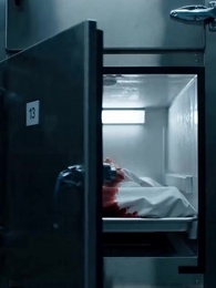 Episode 11 - Heirs and Lies