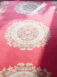 둥지를 떠난 봉황 - Episode 26