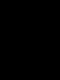 Episodio 37 - Mi clon,el destructor