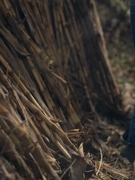 七零大旱，我家挖出地下暗河 - Episode 6