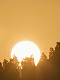 Durch Dornen zu dir - Episode 11