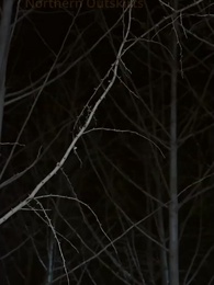 Episode 25 - Wrong Bride, Right Love