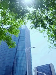 Tập 50 -  [Lồng tiếng]Ánh Sáng Nơi Cuối Con Đường