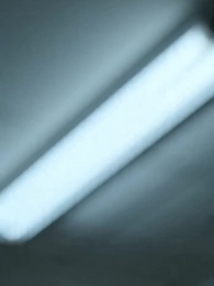 Episode 10 - Heirs and Lies