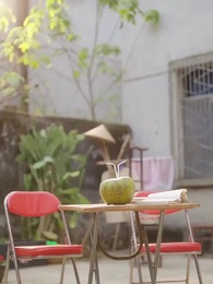 Episode 5 - Island of Second Chances