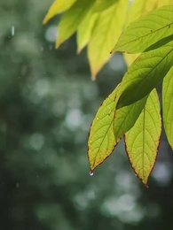 Tình Yêu Trong Vòng Xoáy Quyền Lực - Episode 58