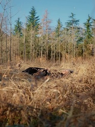 Wrong Bride, Right Love - Episode 79