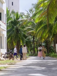 Island of Second Chances - Episode 60