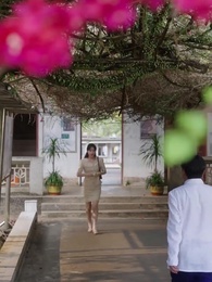 Island of Second Chances - Episode 37