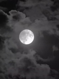 Episode 39 - [Synchron]Von der Stange zum Star: Die wahre Erbin