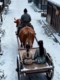 الحلقة 15 - ههنا يسكن القلب