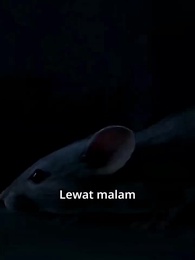 Mak, Saya Tak Menipu - Episode 7