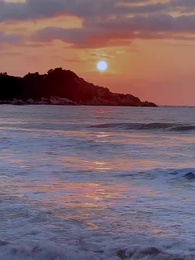 Island of Second Chances - Episode 58