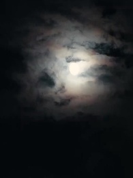 第21話 - [吹替]愛より国を守りたい戦姫