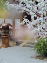 第62集 - 紈絝難馴，夫人她手拿把掐