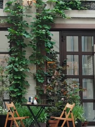 [Doppiato]Troppo Tardi per Amarti - Episode 20