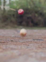 第69集 - 紈絝難馴，夫人她手拿把掐