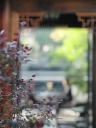 Debt to Doting: His Sweet Trap - Episode 8