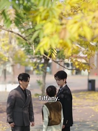 Episode 49 - Debt to Doting: His Sweet Trap